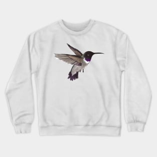 Hummingbird Crewneck Sweatshirt